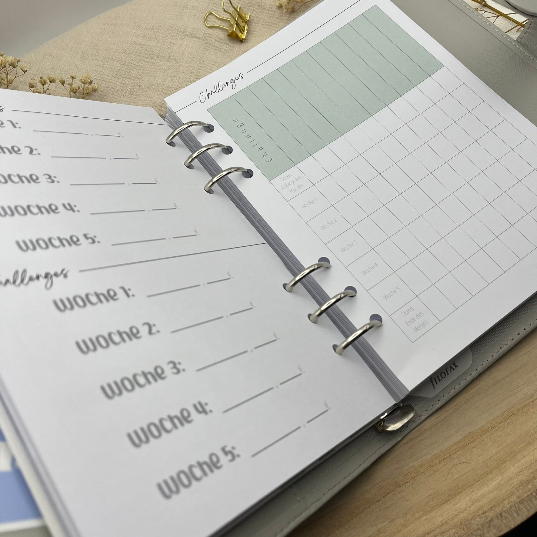 Zusatzeinlagen für den Budgetplaner