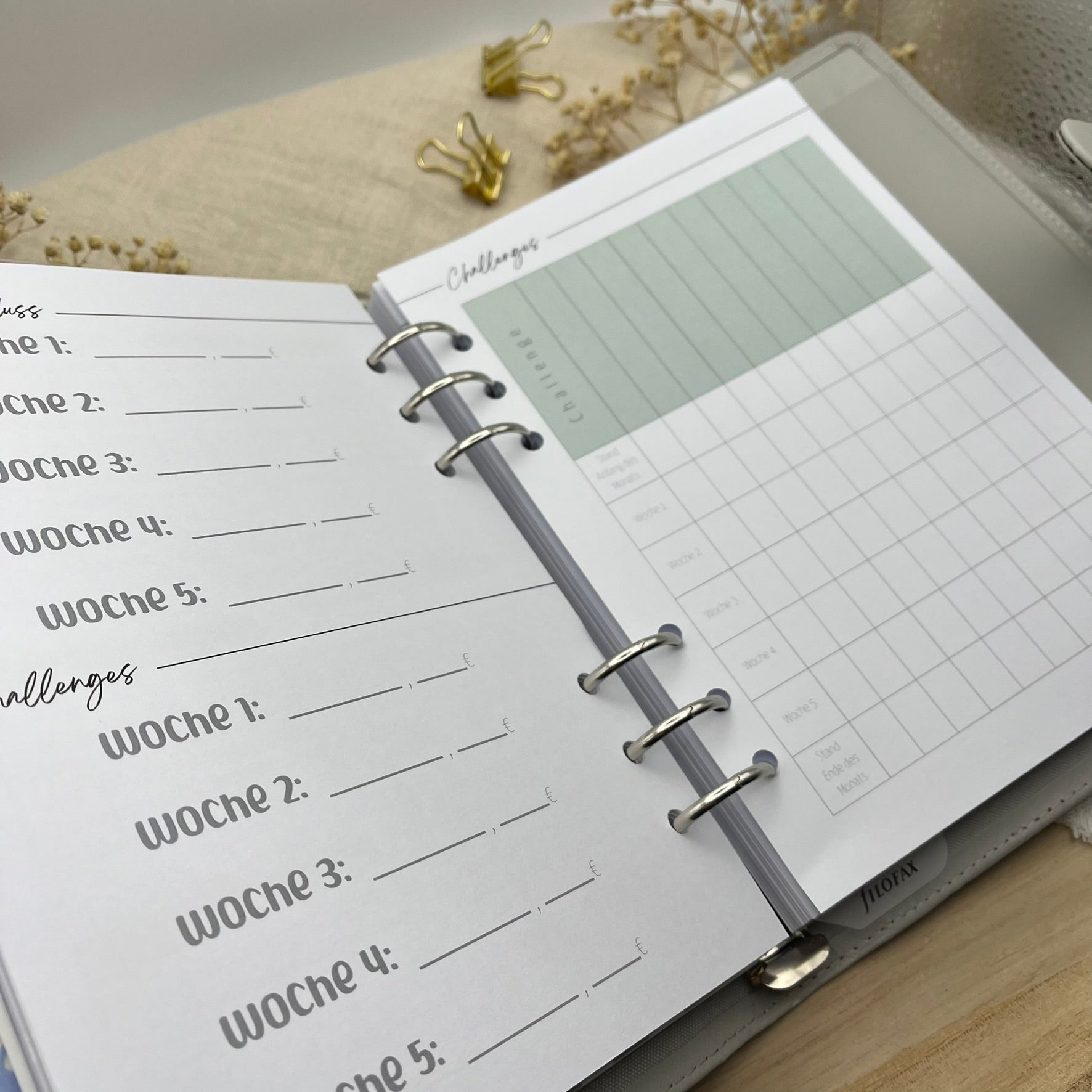 Zusatzeinlagen für den Budgetplaner