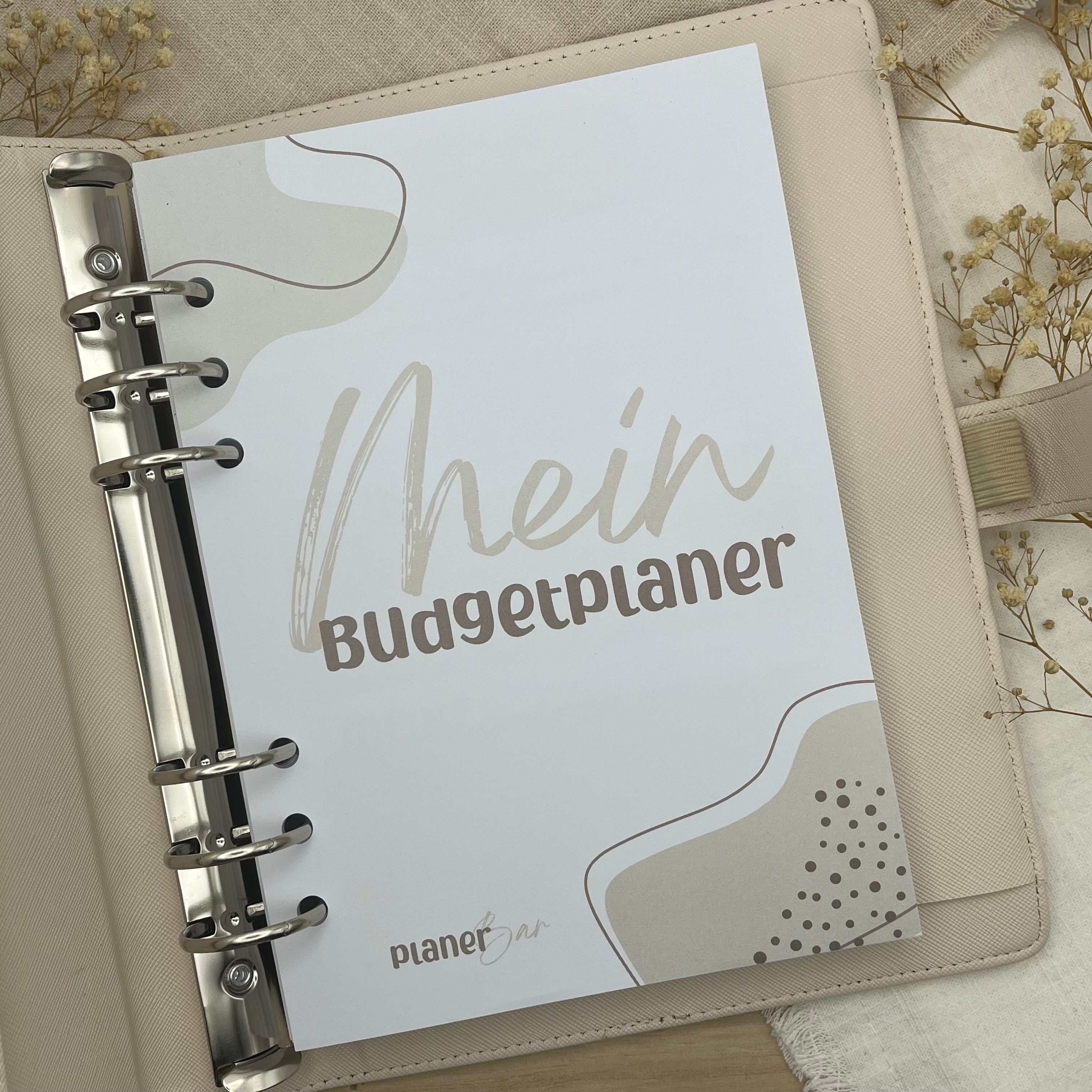 Budgetplaner (undatiert für 12 Monate) inkl. Anleitung