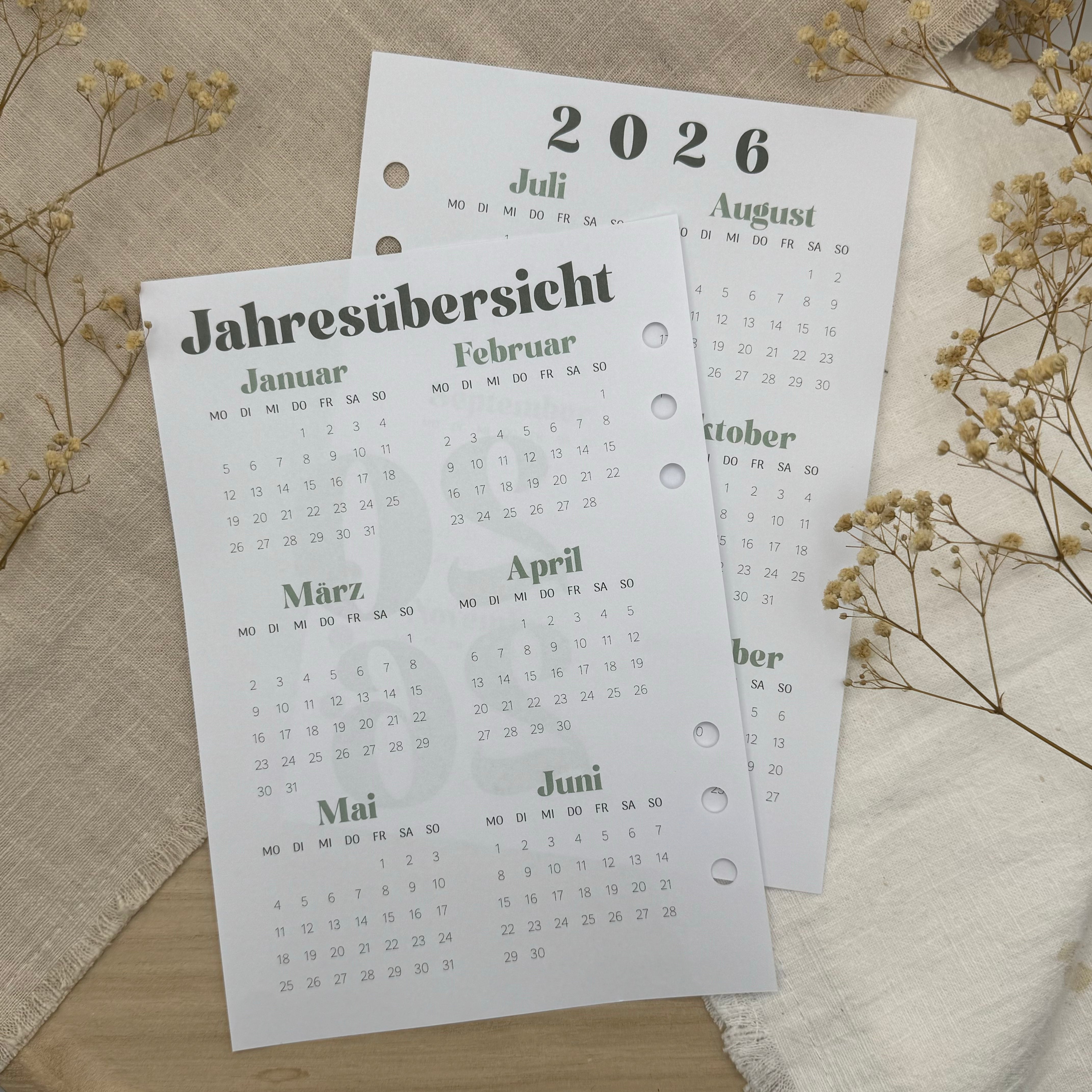 Jahresübersicht 2026 - Zusatzeinlage