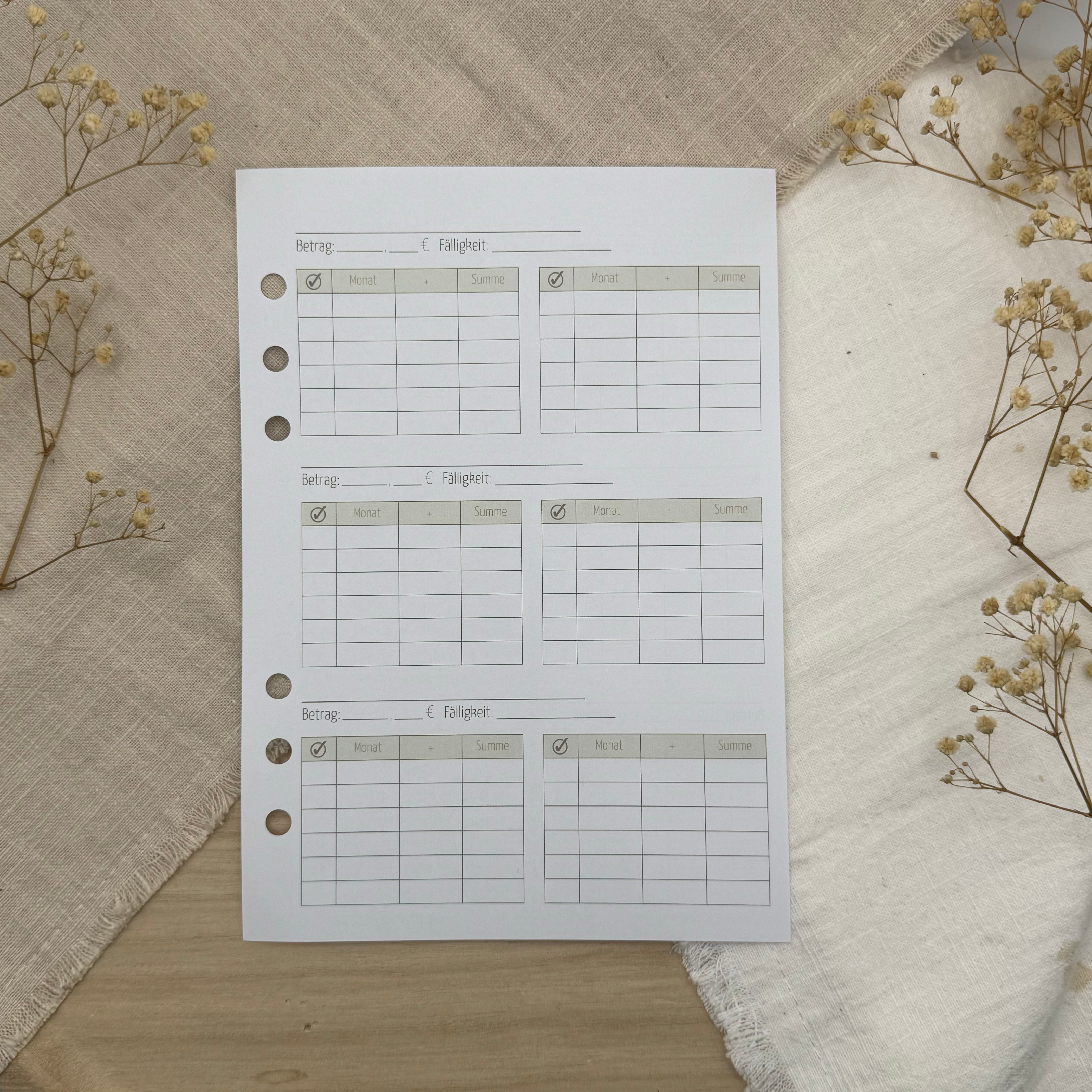 Zusatzeinlagen für den Budgetplaner