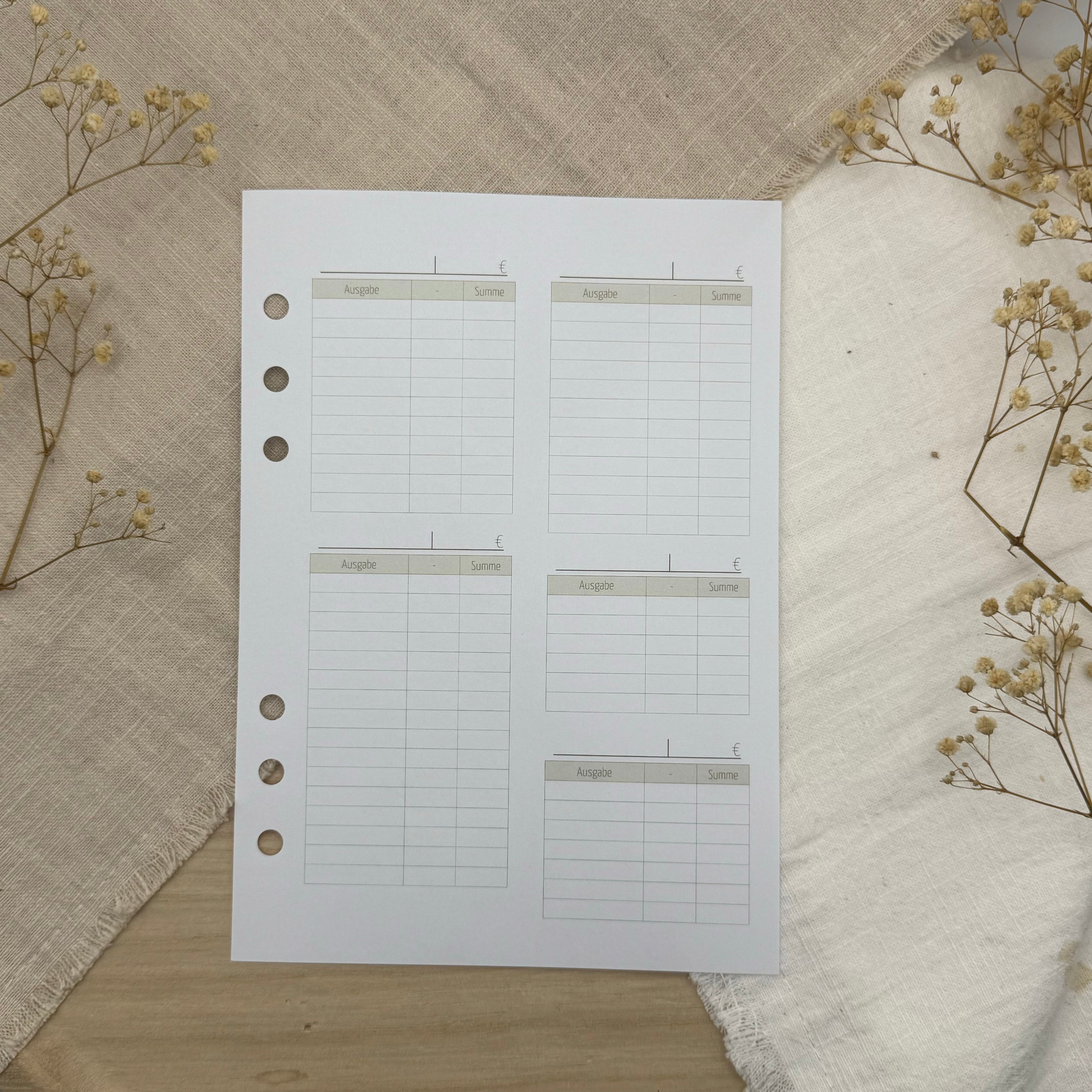 Zusatzeinlagen für den Budgetplaner