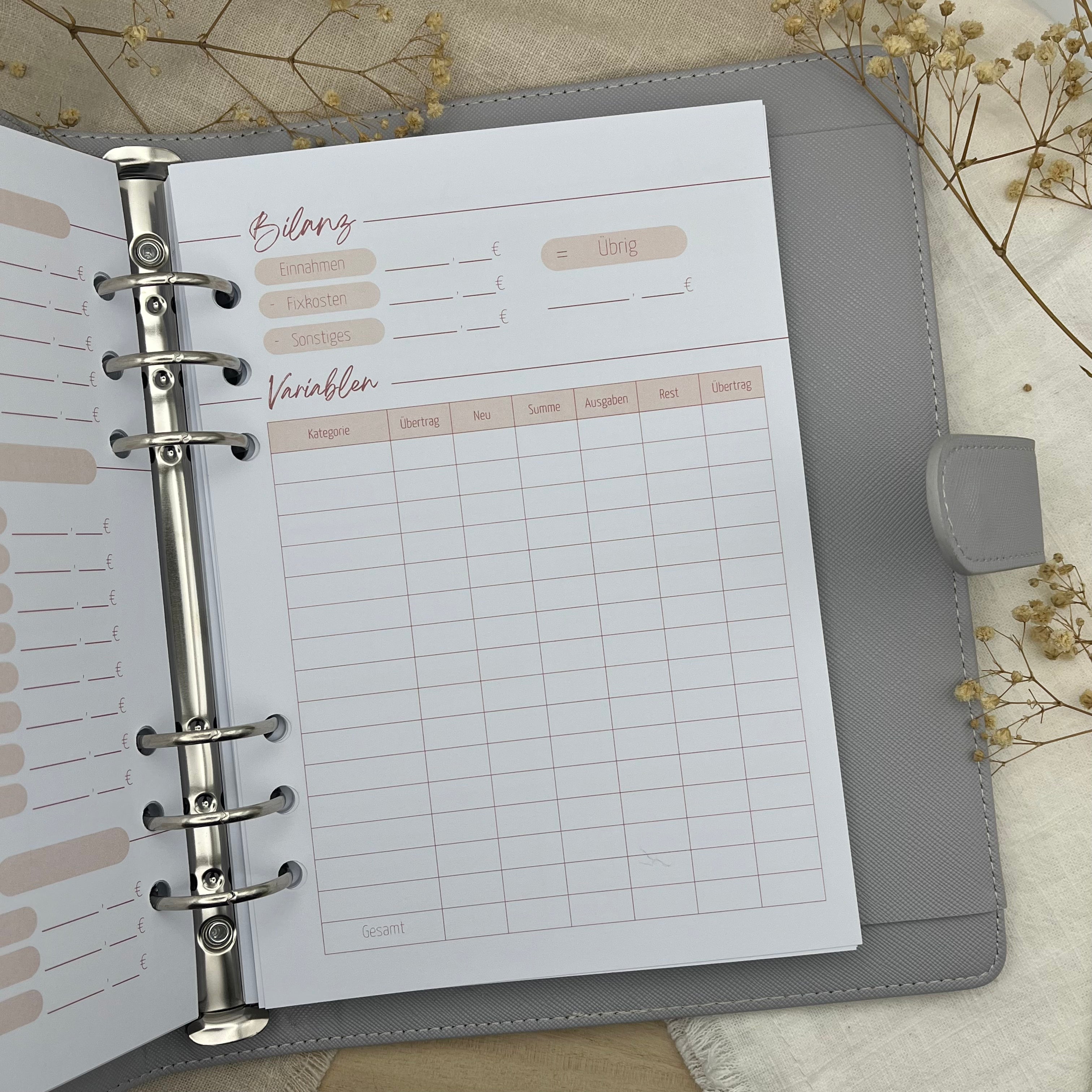 Budgetplaner Einlagen - Rosa Edition