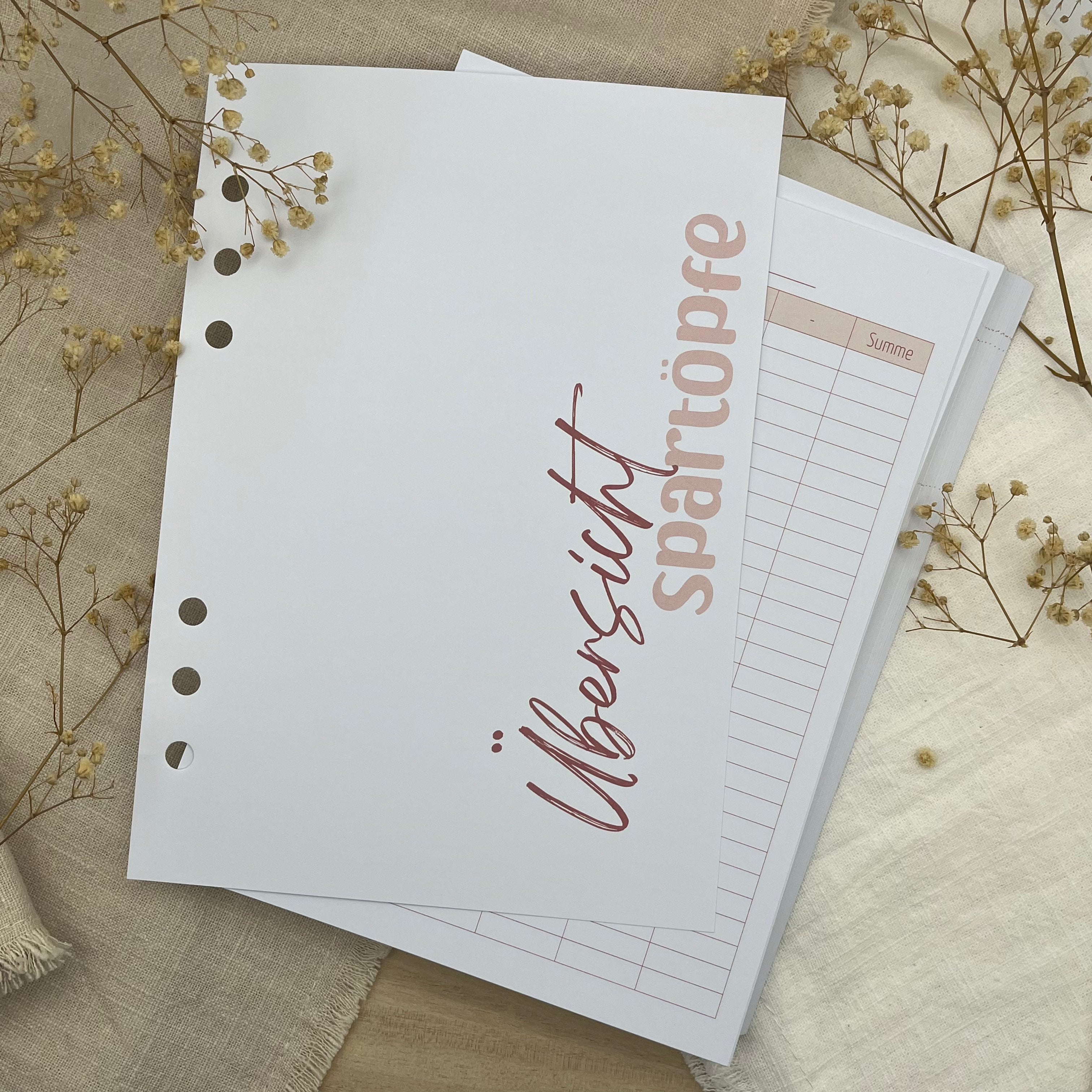 Budgetplaner Einlagen - Rosa Edition