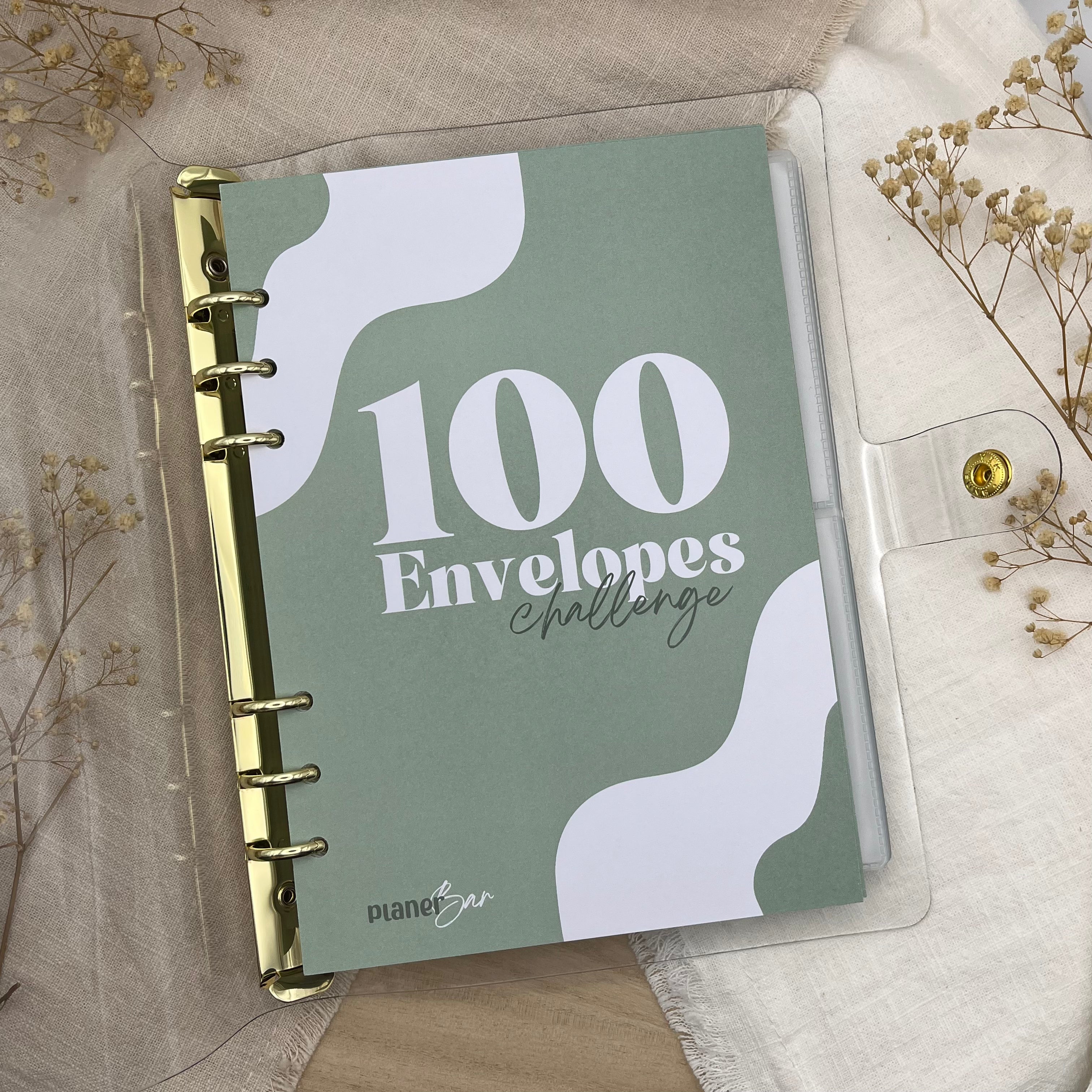 100 Envelopes Challenge