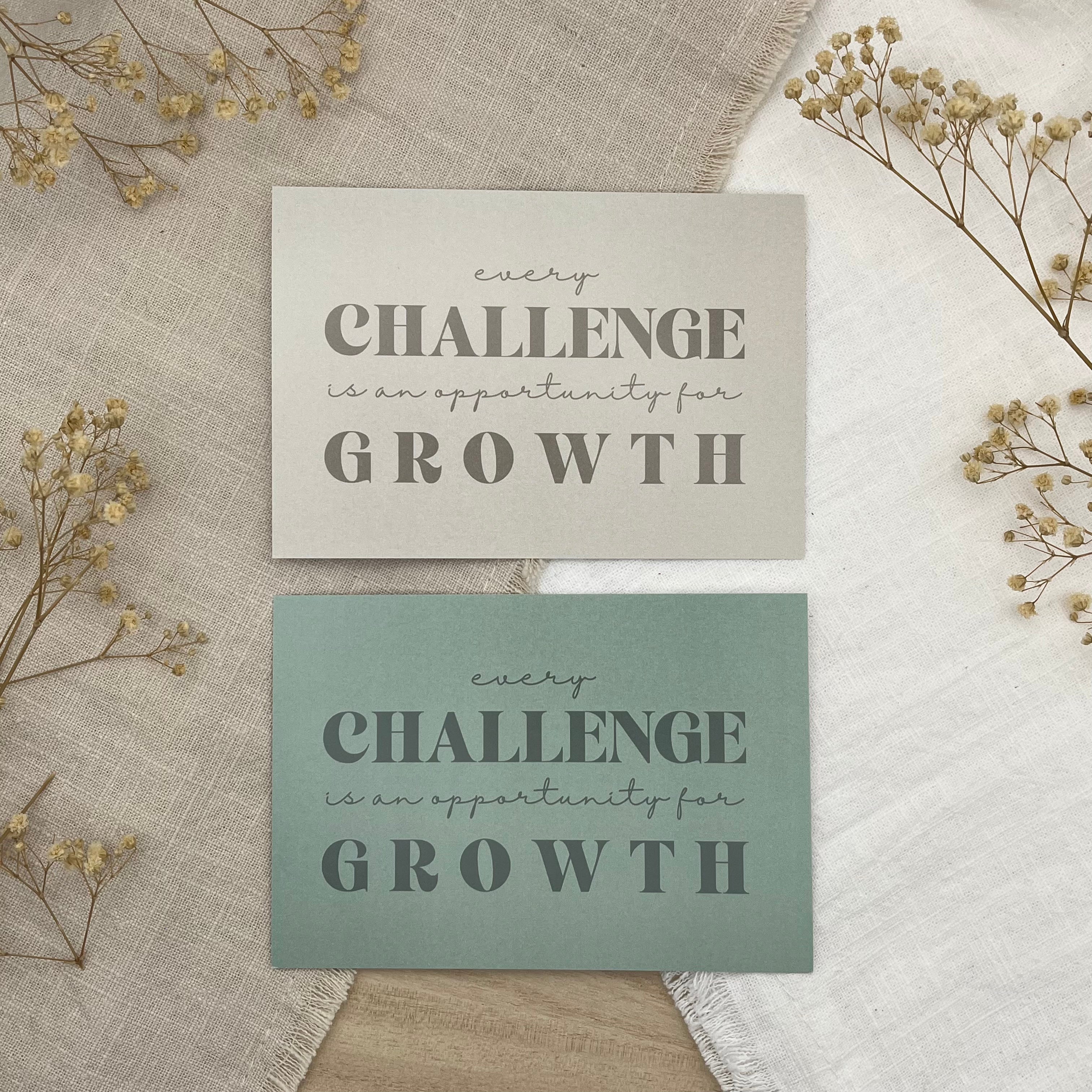 Einlegekarten - großes Fach (A5 Folie)