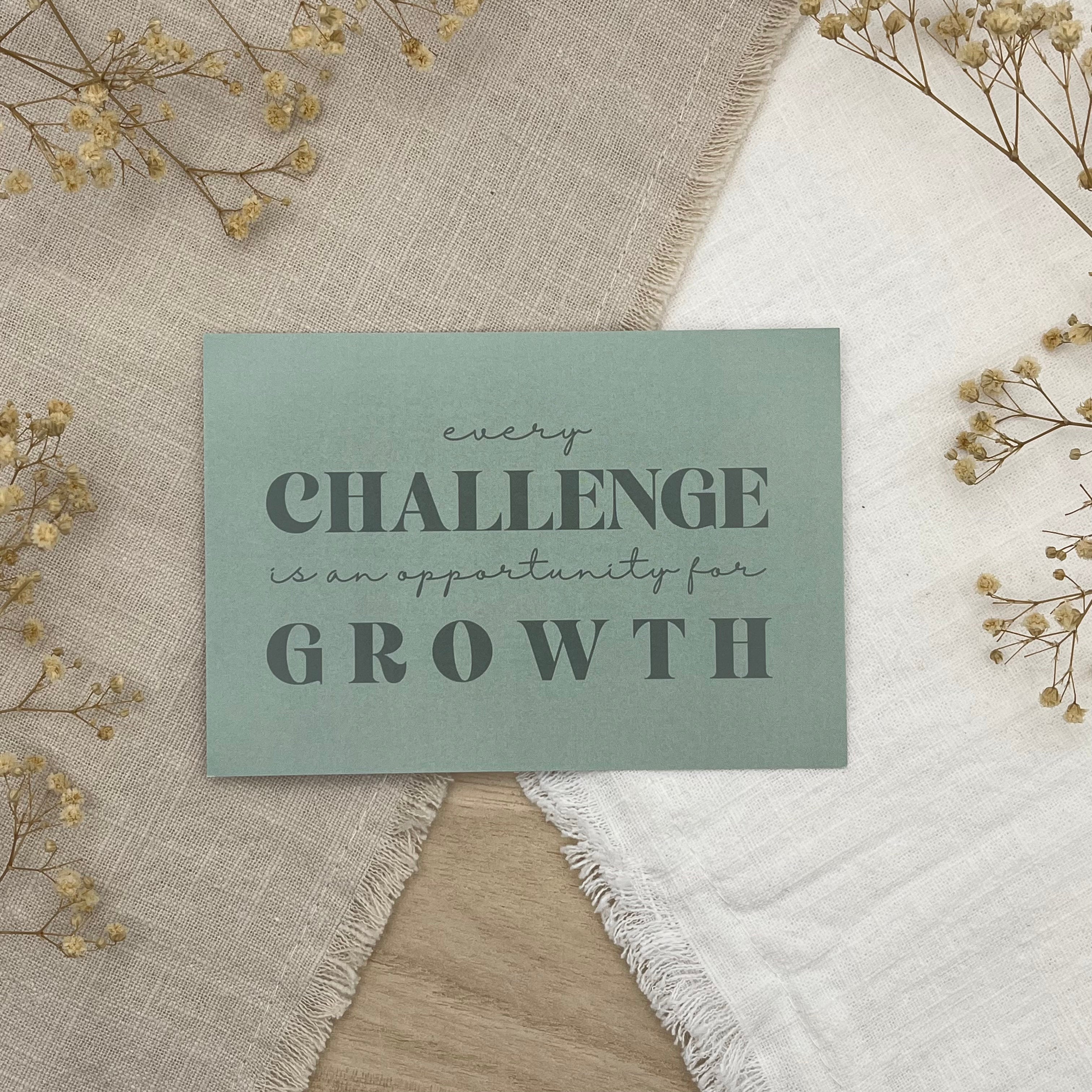 Einlegekarten - großes Fach (A5 Folie)