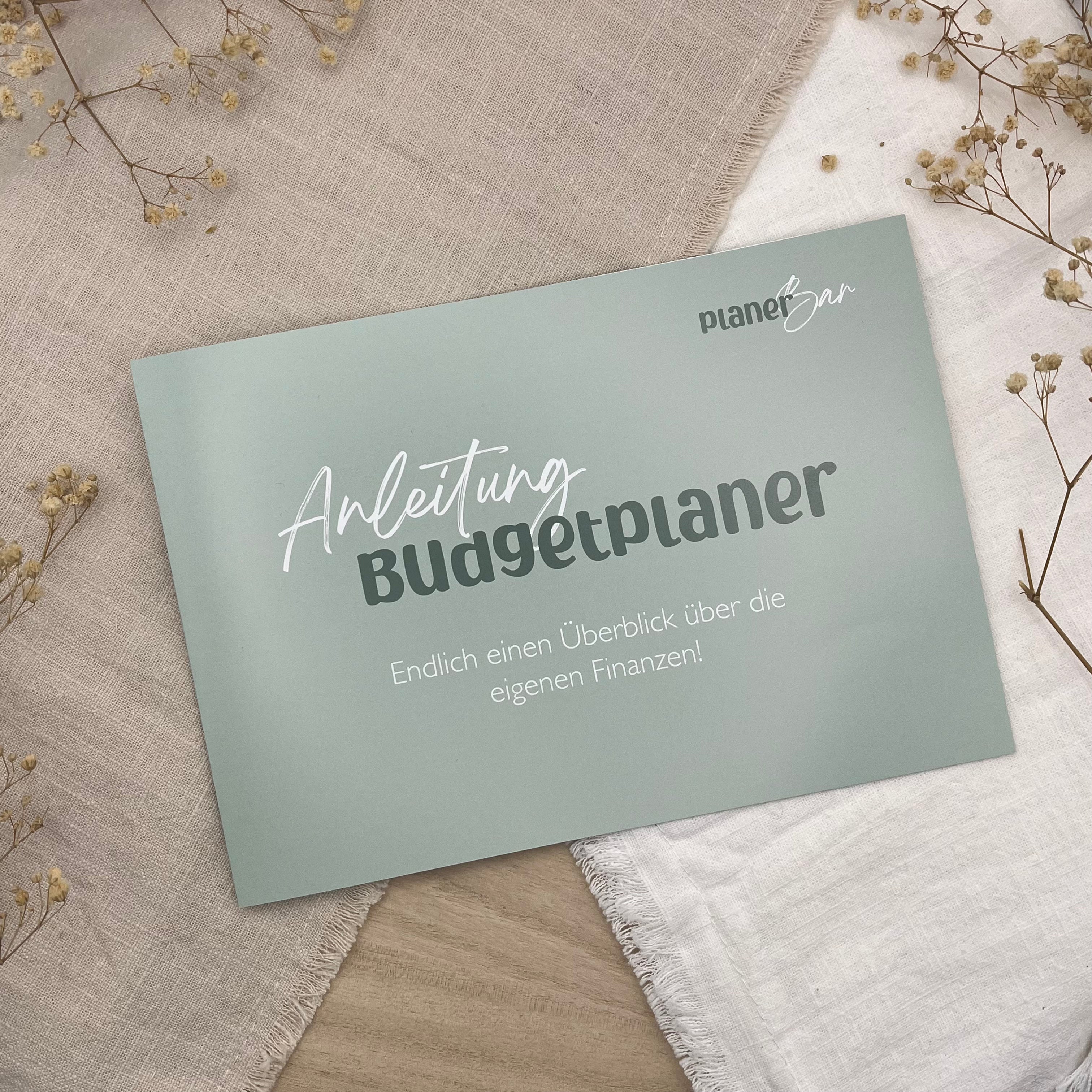Budgetplaner (undatiert für 12 Monate) inkl. Anleitung