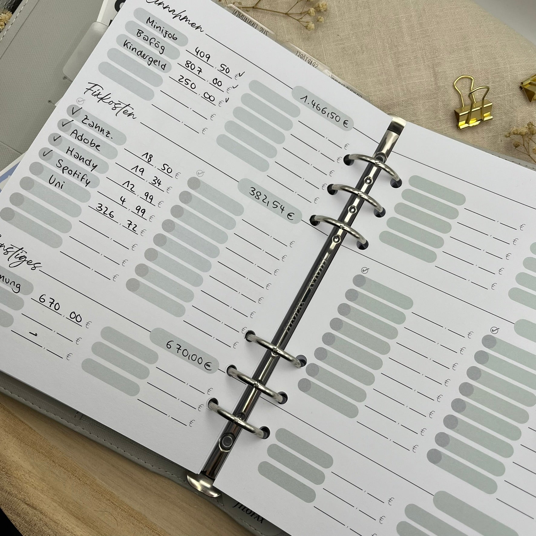 Zusatzeinlagen für den Budgetplaner
