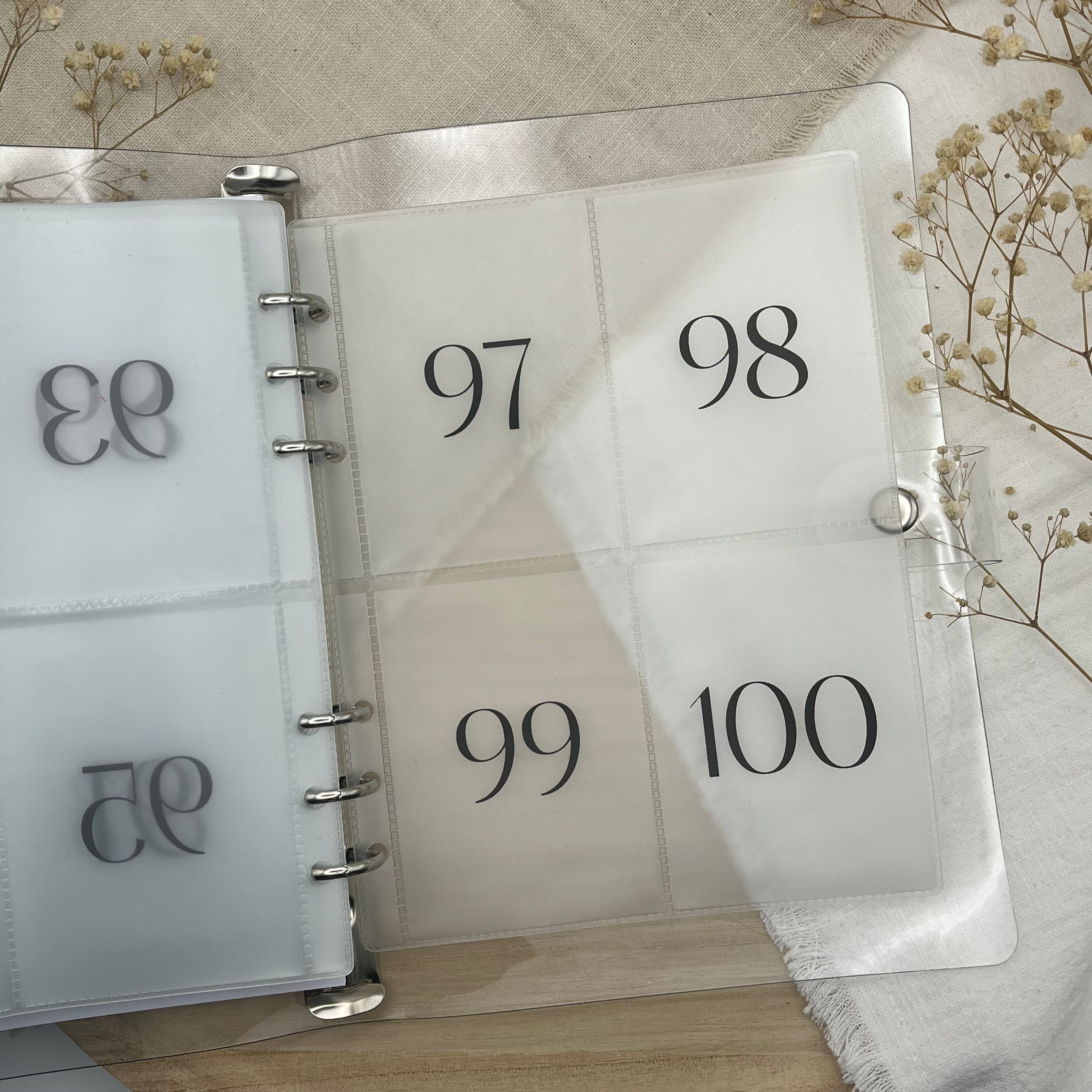 100 Envelopes Challenge
