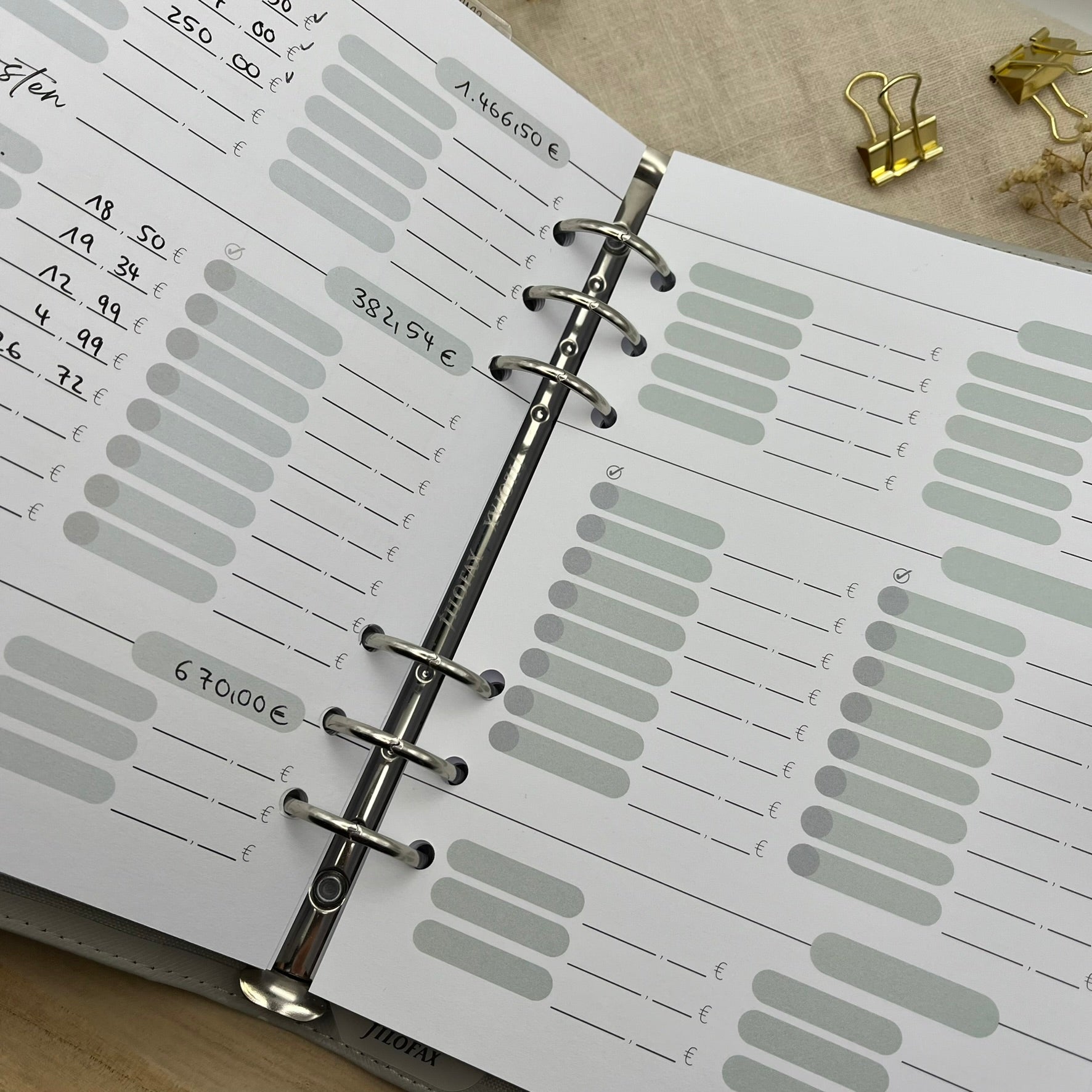 Zusatzeinlagen für den Budgetplaner