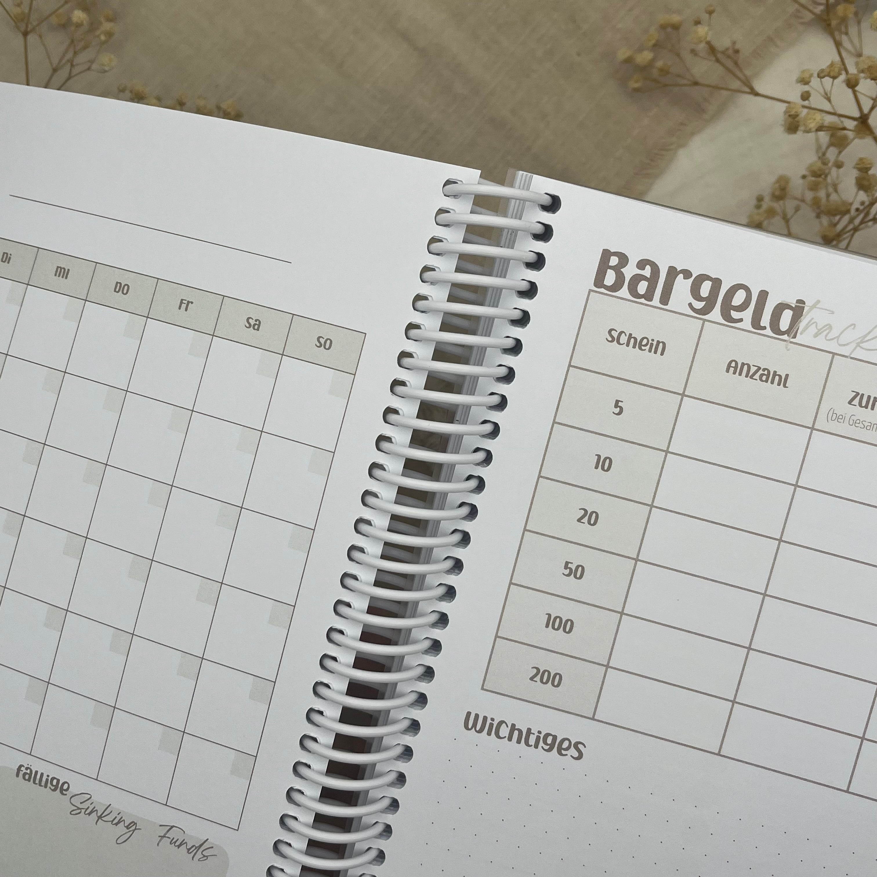 Budgetplaner (undatiert für 12 Monate) inkl. Anleitung