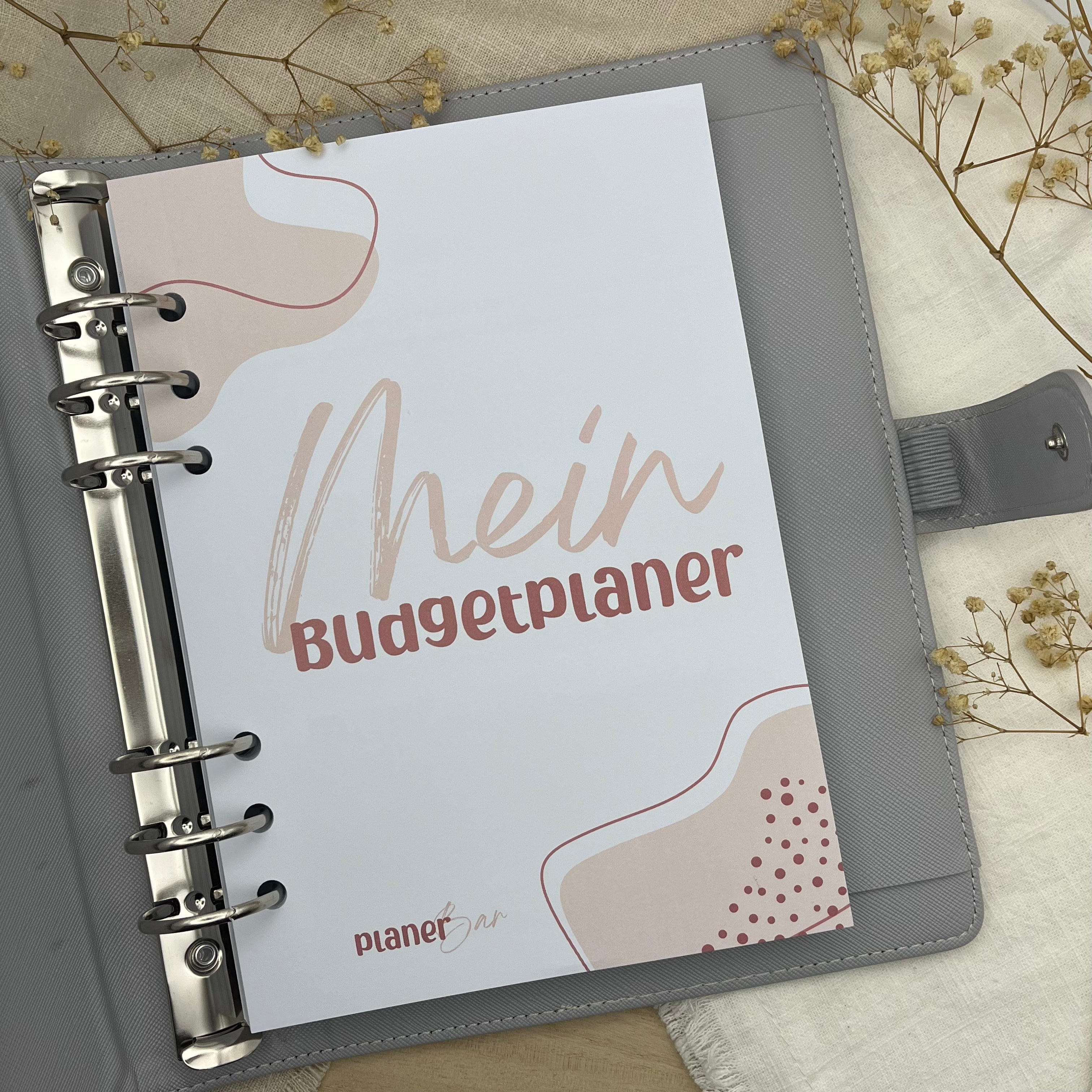 Budgetplaner Einlagen - Rosa Edition