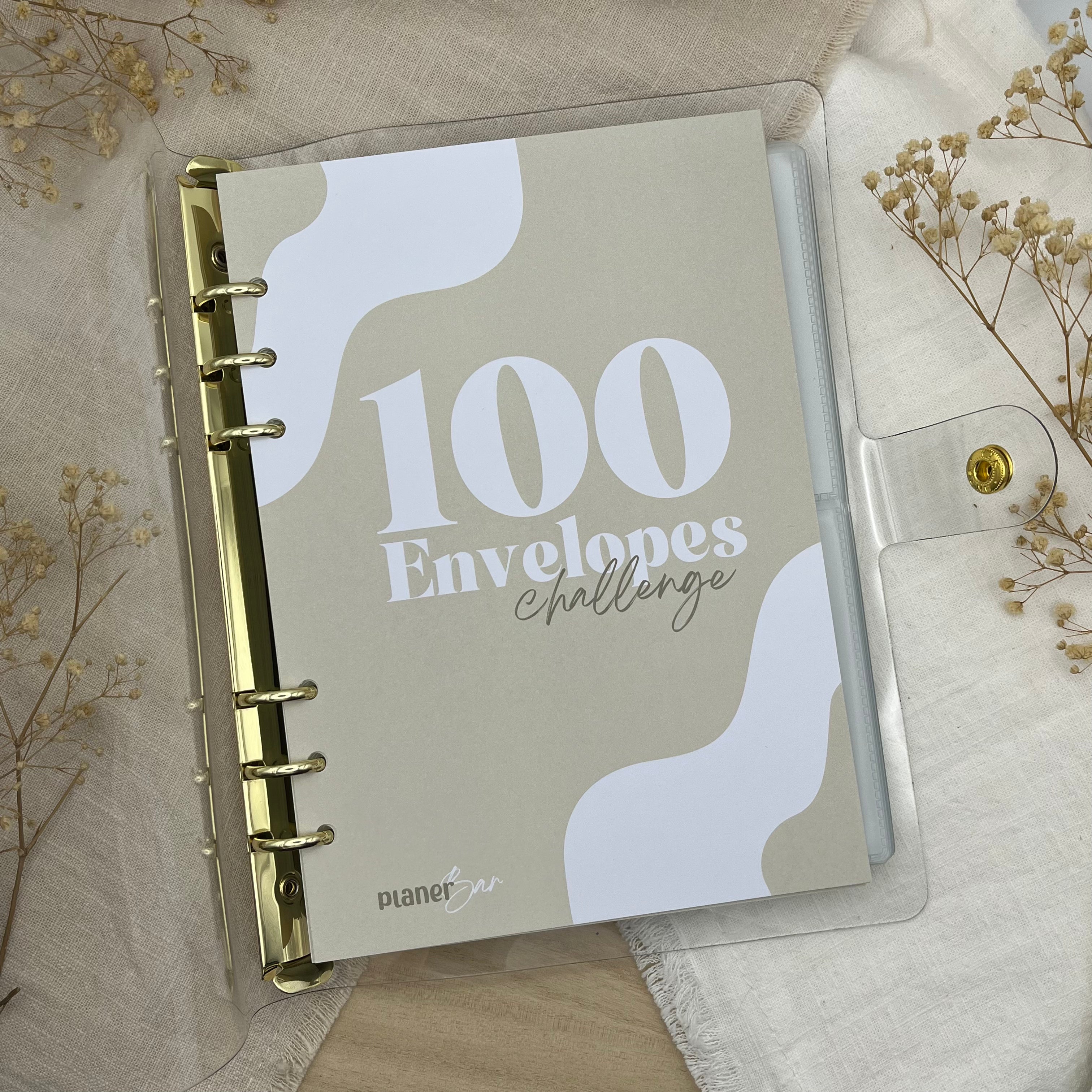 100 Envelopes Challenge