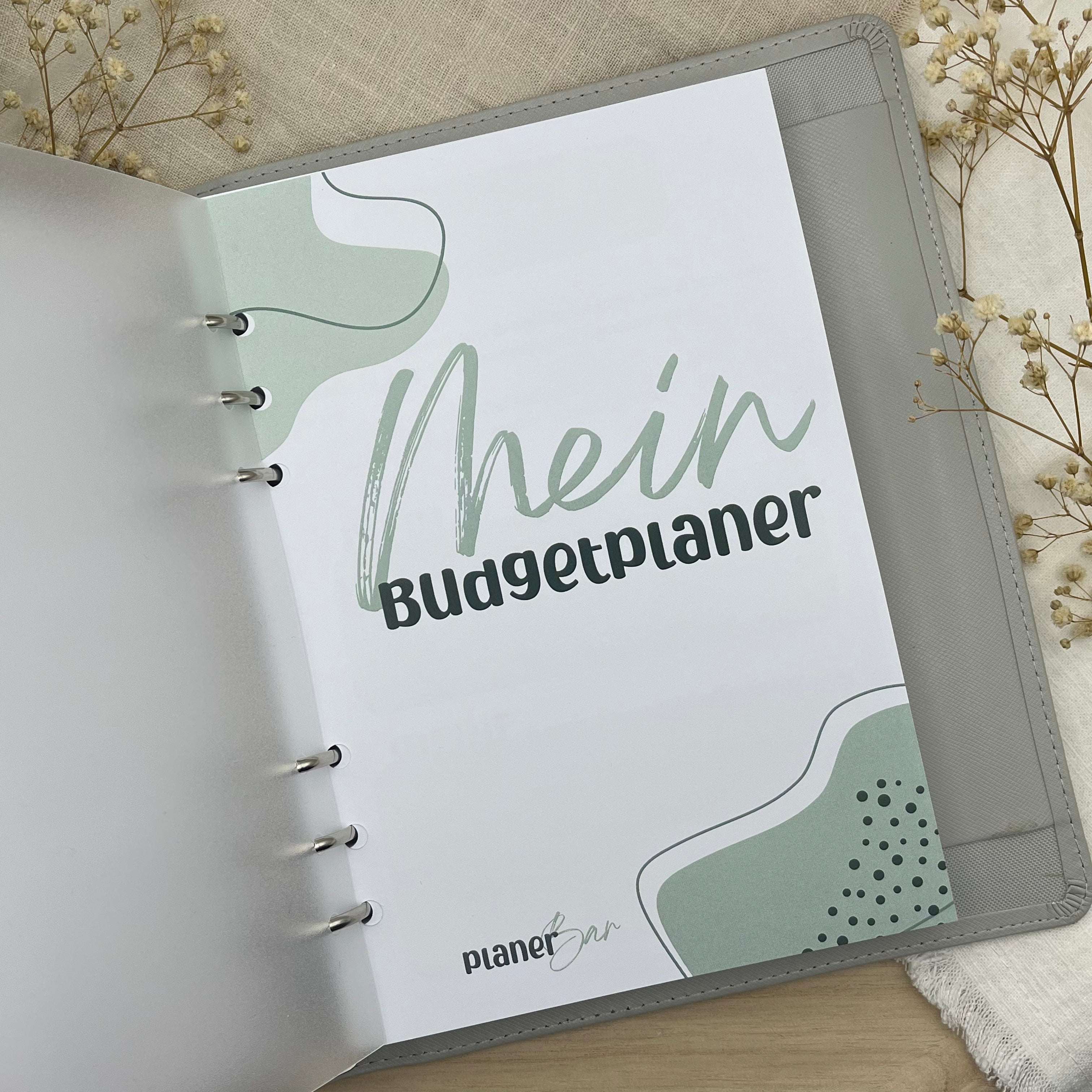 Budgetplaner (undatiert für 12 Monate) inkl. Anleitung