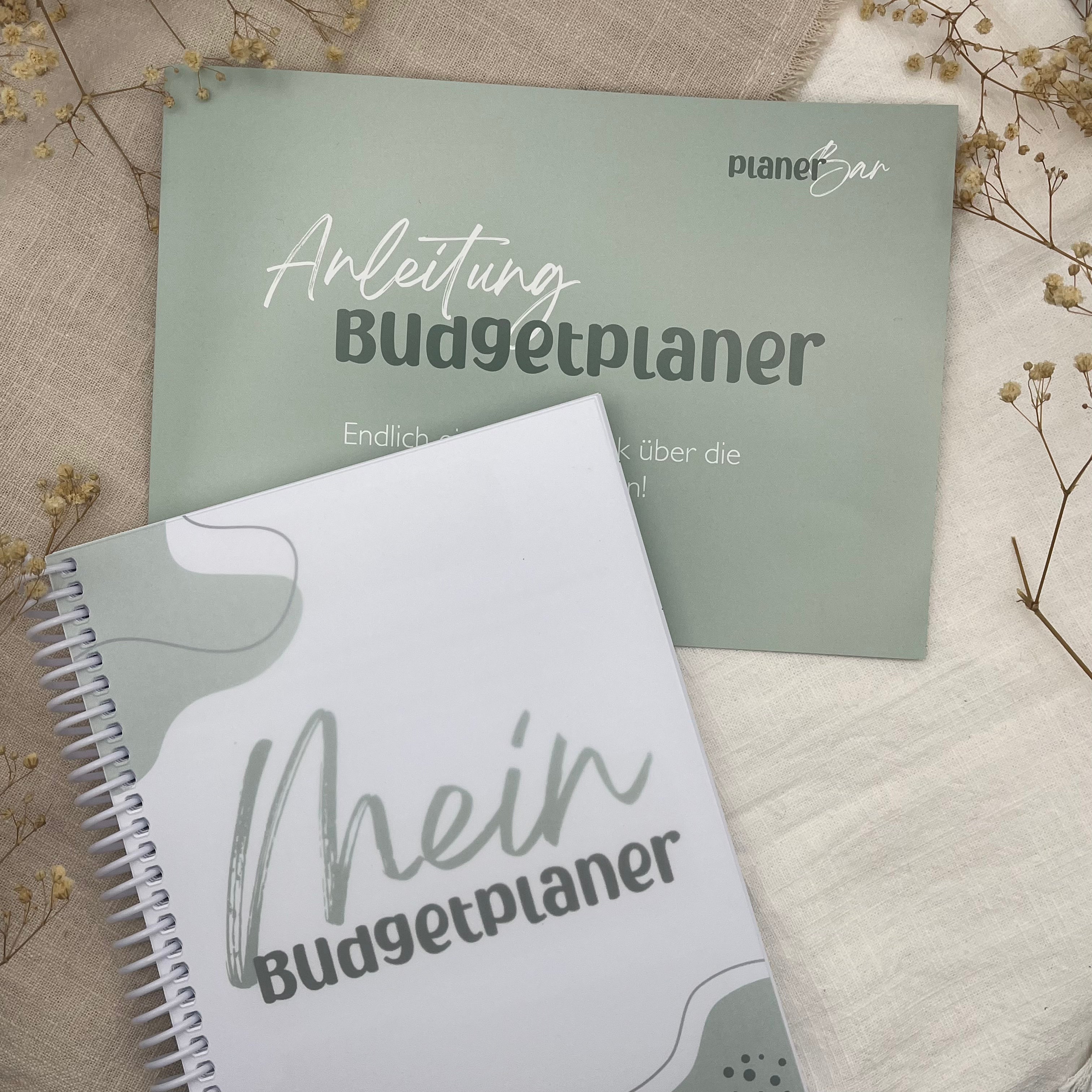 Budgetplaner (undatiert für 12 Monate) inkl. Anleitung